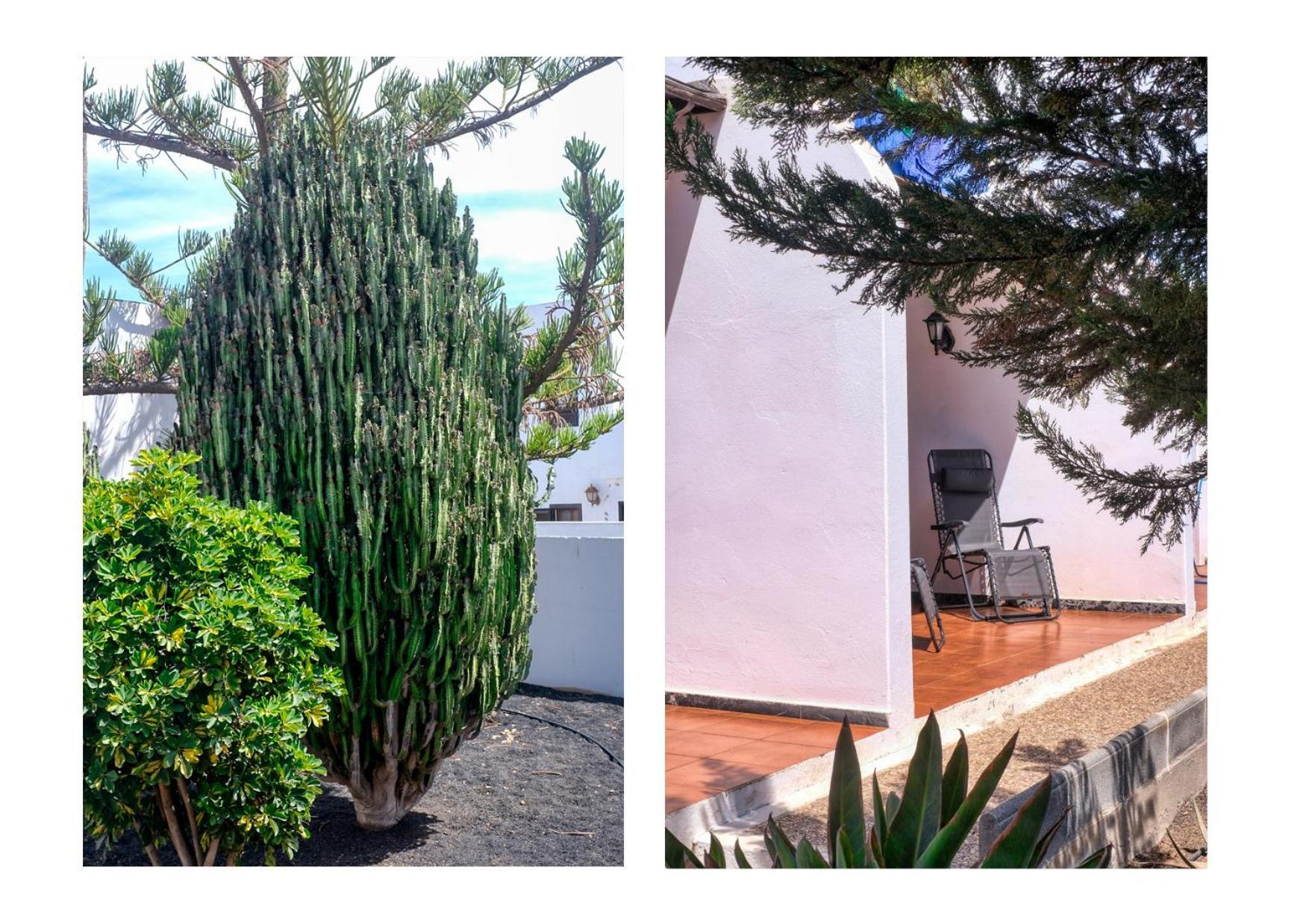 Abora Relax A 500m De La Playa Wifi Fibra Appartement *